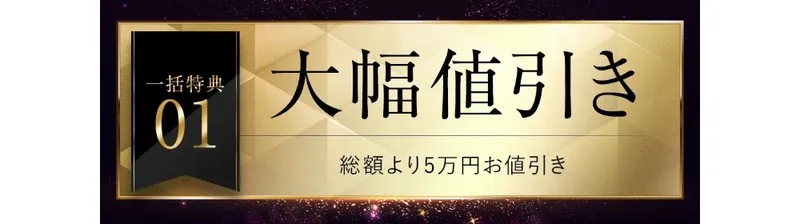財閥システムのLP。「一括特典01 大幅値引き 総額より5万円お値引き」と金色の装飾で書かれている
